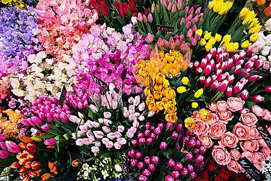 《猛鬼大廈》Steam页面正式发售 国区原价28元